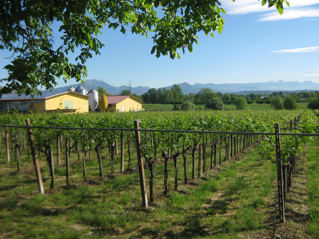 Agriturismo E Agricamping Le Nosare Valeggio sul Mincio Dış mekan fotoğraf