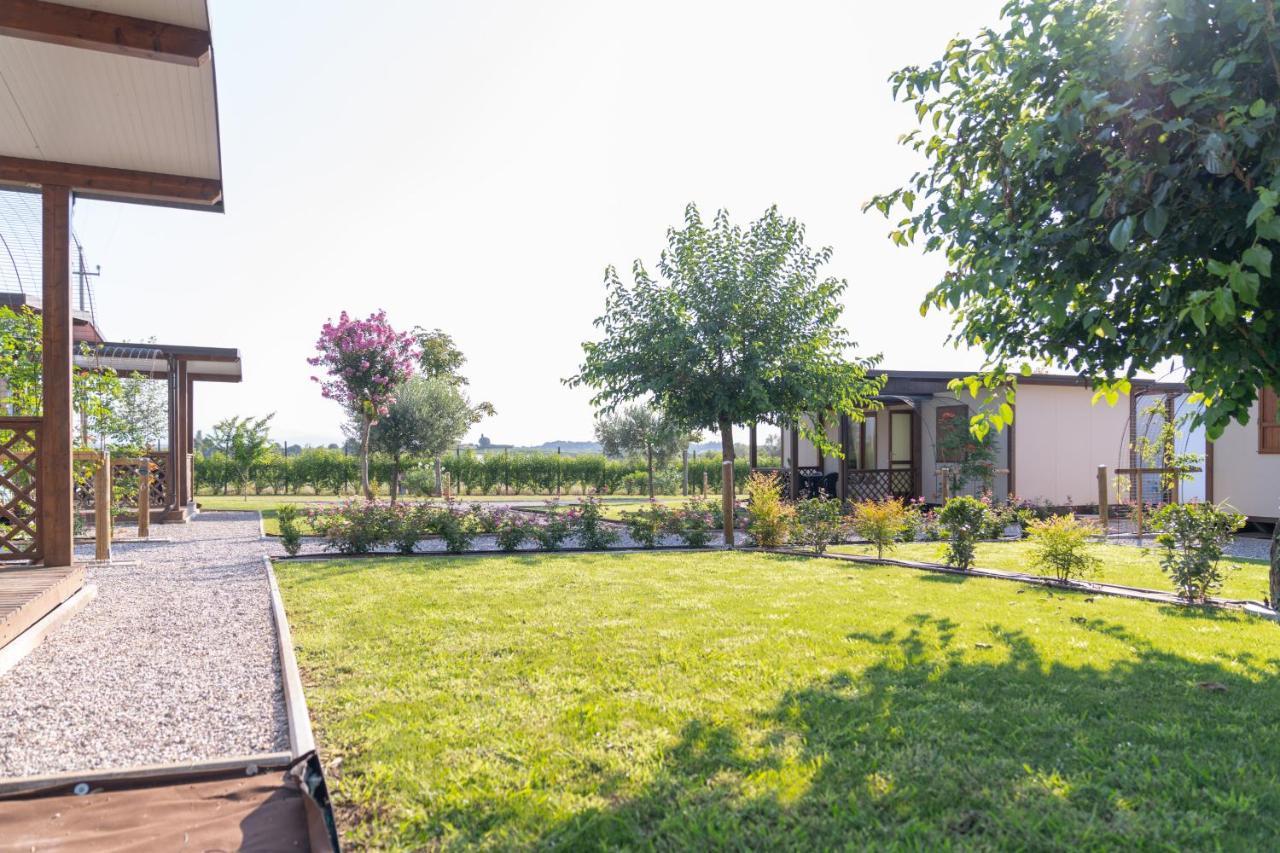Agriturismo E Agricamping Le Nosare Valeggio sul Mincio Dış mekan fotoğraf