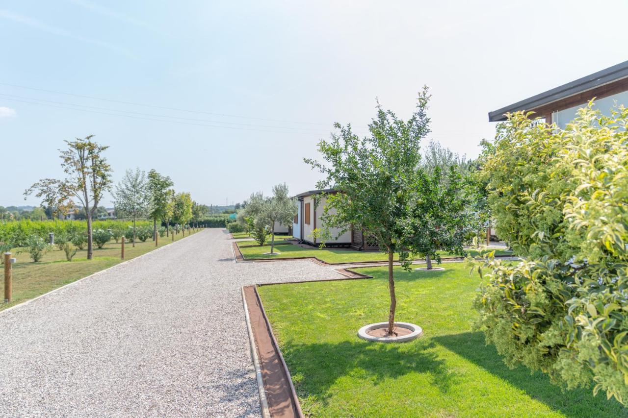 Agriturismo E Agricamping Le Nosare Valeggio sul Mincio Dış mekan fotoğraf