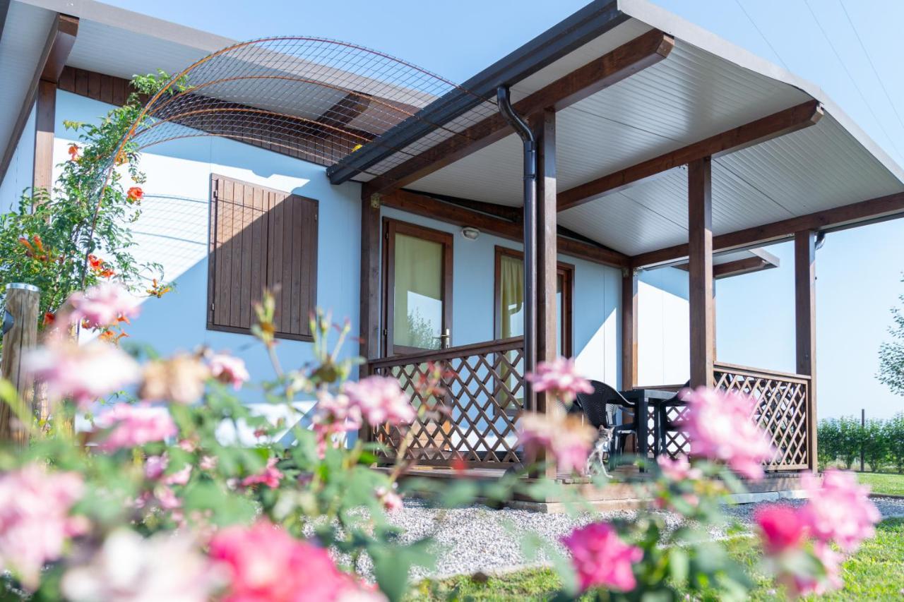 Agriturismo E Agricamping Le Nosare Valeggio sul Mincio Dış mekan fotoğraf